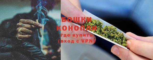 spice Осинники