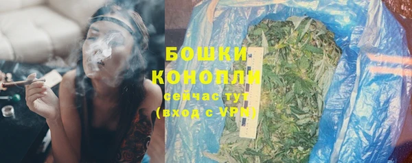 spice Осинники