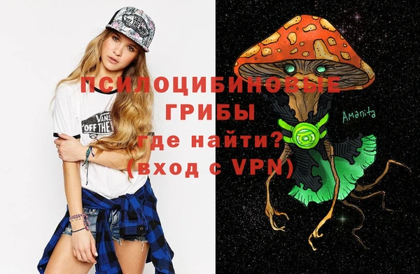 ПСИЛОЦИБИНОВЫЕ ГРИБЫ Абдулино